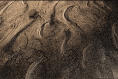 A005