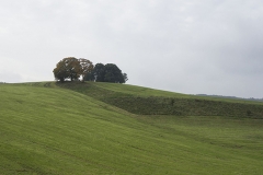 Heuvelig I