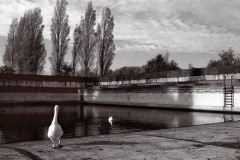 Nost01