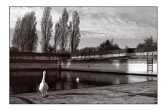 Kaart 1 Nostalgie van Chloor I